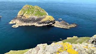 Skomer  Grassholm  Skokholm [upl. by Armando151]