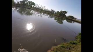 Mojave Narrows fishing [upl. by Ahsem588]