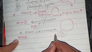 Digestion of Fats Lipids [upl. by Sura]