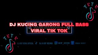 DJ KUCING GARONG FULL BASS VIRAL TIK TOK TERBARU 2023 [upl. by Allerym247]