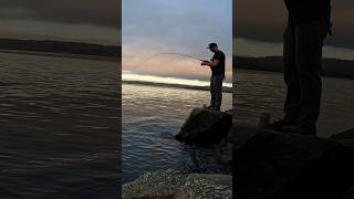 Rock fish from the South Jetty of the Humboldt Bay shorts fishing fish [upl. by Faires]