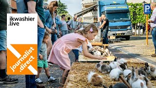 Wekelijkse dierenmarkt Mol na 140 jaar verboden 8 reacties met journalistdirect Lieve Heurckmans [upl. by Annua451]