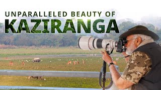 Exploring Assams rich biodiversity PM Modi at Kaziranga National Park [upl. by Yuhas]