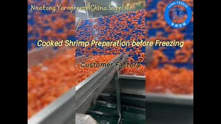 Cooked Shrimp Preparation before Freezing [upl. by Claudelle]