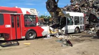 Ex OC Transpo Orion VI at the scrapyard [upl. by Lienet]