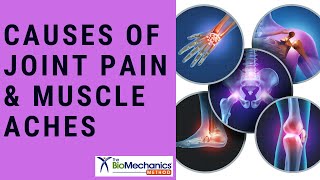 The Most Common Causes of Joint Pain and Muscle Aches [upl. by Anatak]