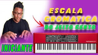 Como tocar escala cromática no piano ou teclado do jeito certo [upl. by Welby]