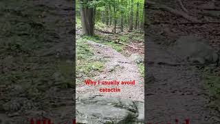 Why I usually avoid Catoctin dayhikingandherpingdudes [upl. by Gaskins]