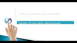 Nouveau portail DAMANCOM Télédéclaration mode EDI [upl. by Bullion]