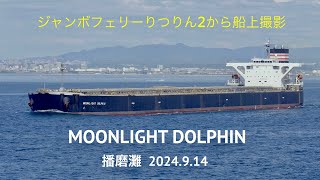 HDR 船上撮影 MOONLIGHT DOLPHIN ばら積船 播磨灘 2024914 正28200mm [upl. by Allenrad]