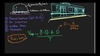 Gas exchange at the alveoli  Video 3 Diffusion [upl. by Rednal223]