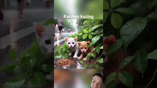 Cing kucing kucing kucinglucu catlover kucingimut cat cute viralvideo [upl. by Nitsugua120]