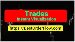 Trades Instant Visualization Ninjatrader Manual httpsbestorderflowcom [upl. by Ormiston]