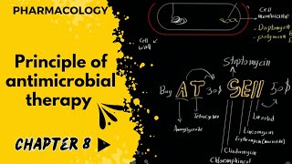 فارما  جابتر 8  شرح مهم متطور لفهم المضادات الحيوية  principle of antimicrobial therapy [upl. by Woodsum]