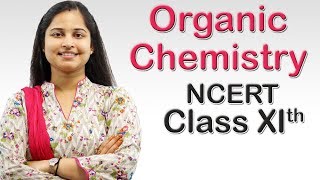 Organic Chemistry  Partition Chromatography Class 11th CBSE Chemistry [upl. by Trenton]