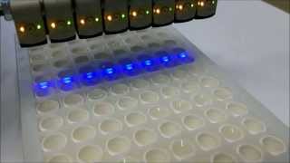 Optical filling level detection in microtiter plates with F 10 Bluelight sensor [upl. by Etnaled]