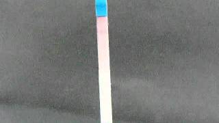 One Step Pregnancy Dipstick Test [upl. by Darbee]