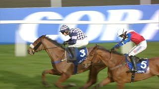 BLOW YOUR WAD wins 2024 Pendil Novices Chase at Kempton [upl. by Drue]