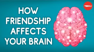 How friendship affects your brain  Shannon Odell [upl. by Monk]