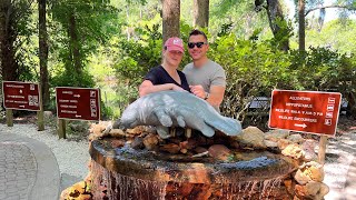 Homosassa Springs Wildlife State Park ☀️ [upl. by Veneaux474]