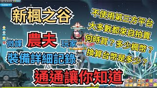 【新楓之谷】微課農夫玩家裝備詳細記錄💪不使用第三方平台 大多數來自拍賣 何時買？多少楓幣？換算台幣是多少？ 通通讓你知道😎 [upl. by Aihsilef]