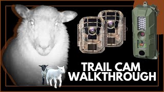 Trail Cams Walkthrough  With LIVE Footage  Bresser Game Surveillance  Campark T20 [upl. by Norrehs43]