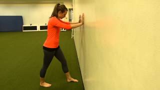 Mobility Wall Ankle Mobility [upl. by Boor269]