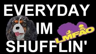 EVERYDAY IM SHUFFLIN dog version [upl. by Riegel]