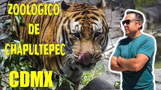 ZOOLÓGICO DE CHAPULTEPEC todo lo que debes SABER ¿Cómo visitarlo [upl. by Naitsabes]