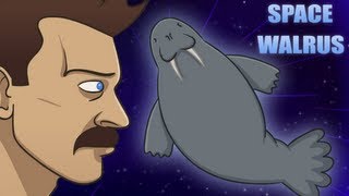 SPACE WALRUS [upl. by Valaree]