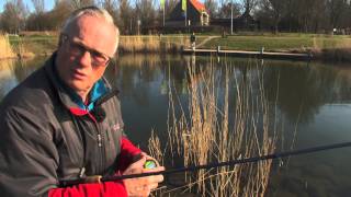 Visblad TV  Forel Geestmerambacht [upl. by Mercola]