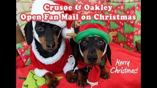 Crusoe amp Oakley Live Steaming Opening Fan Gifts on Christmas [upl. by Nylegna]