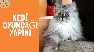 Evde kedi oyuncağı yapımı Kedi Oltası DIY [upl. by Leonelle]