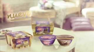 Postres Vitalinea en Canarias [upl. by Jaella]