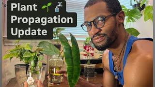 Best way to use water for plant growth propnation [upl. by Eleon]