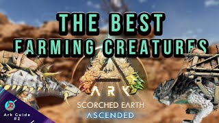 Best FARMING CREATURES in Ark Scorched Earth  Ark Guide  ARK ASCENDED  Crossplay [upl. by Houston]