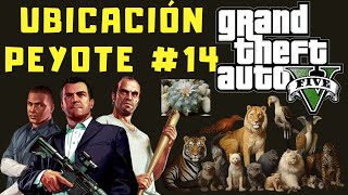 Ubicaciones de Peyote en GTA V 14 Modo Historia [upl. by Anawaj]