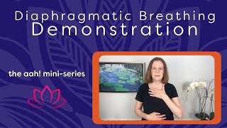 Diaphragmatic Breathing Demonstration [upl. by Isadore]