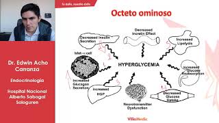 Diabetes Mellitus  Fisiopatología [upl. by Auqinat643]