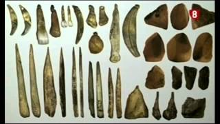 Diferencias y similitudes entre neandertales y sapiens según Juan Luis Arsuaga [upl. by Sulakcin445]