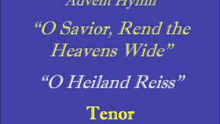 O Heiland Reiss  Tenorwmv [upl. by Tuppeny]