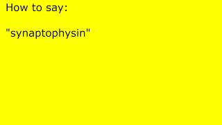 How to pronounce synaptophysin [upl. by Zeret984]