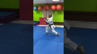 Entrenando kata Heian Yondan 🥋 shotokan heianyondan kataheianyondan [upl. by Aimekahs27]