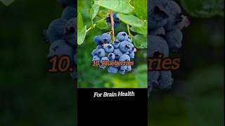 Top 10 Healthy Foods🍇🍌 for diet and weight loss with Healthy Nutrients 👨‍⚕️ health [upl. by Adoh151]