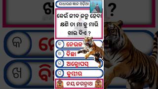 Odia General Knowledge Questions Odia GkGk Odia🥱shorts odiagk shortsvideo [upl. by Lynden124]