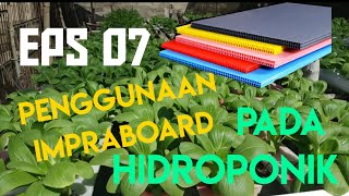 Eps 07 Penggunaan Impraboard Pada Kebun Hidroponik [upl. by Geddes]