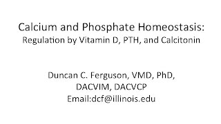 Calcium Physiology Regulation by Vitamin D PTH and Calcitonin [upl. by Kcirdet]