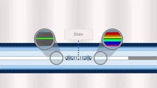 FBG Optical Sensing Overview [upl. by Elylrac]