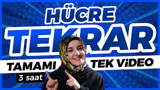 2 Hücre FULL TEKRAR   9 Sınıf Biyoloji  TYT Biyoloji Konu Anlatımı 2 [upl. by Ramunni]