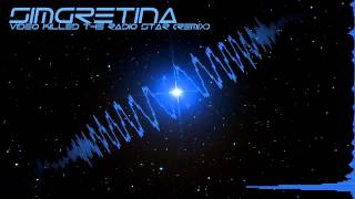 Video Killed The Radio Star Sim Gretina Remix [upl. by Einalem]